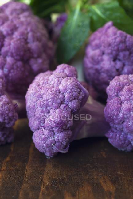 Flores de coliflor púrpura - foto de stock