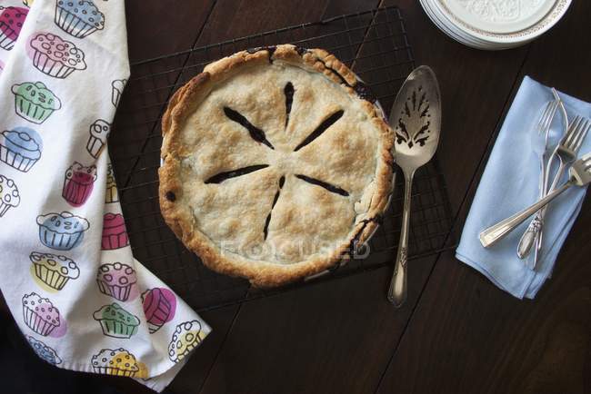 Freshly baked blueberry pie — Stock Photo