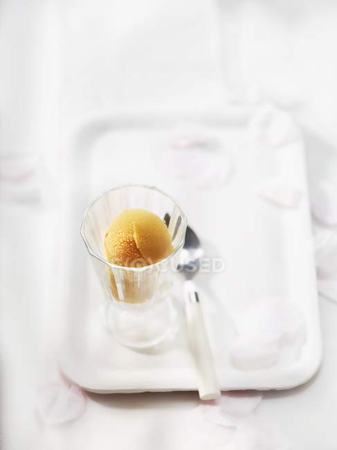 Cuillère de crème glacée vanille — Photo de stock