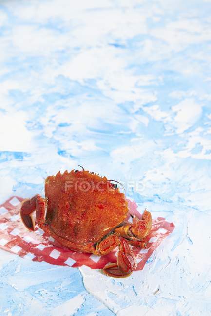 Vista de cerca de un cangrejo rojo en el tejido - foto de stock