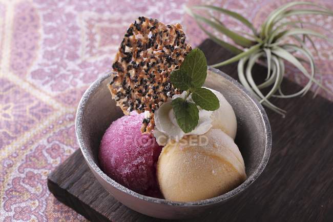 Fruit ice cream with sesame seed brittle — Stock Photo