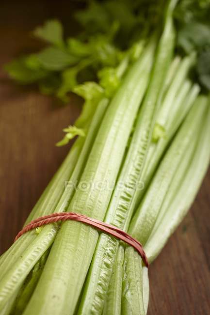 Bunch of fresh celery stalks — Stock Photo
