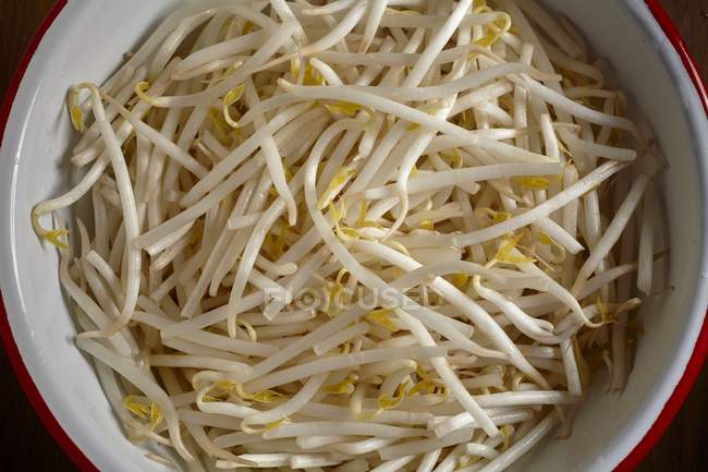 Mung bean sprouts — Stock Photo