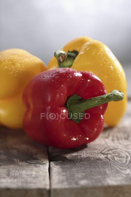 Freshly washed peppers — Stock Photo