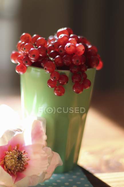 Grosellas rojas frescas en taza - foto de stock