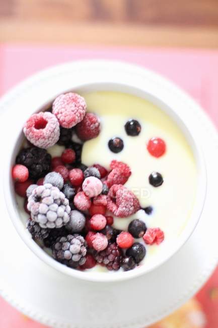 Vanilla pudding with frozen berries — Stock Photo