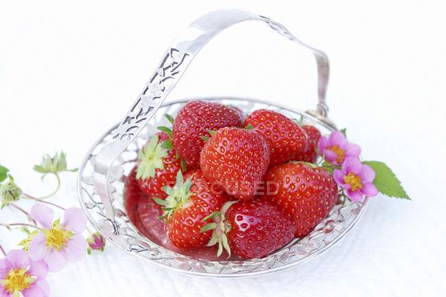 Fresh Strawberries with blossom — Stock Photo