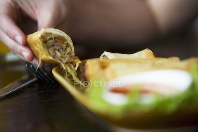 Closeup view of a hand holding a spring roll over dish — Stock Photo