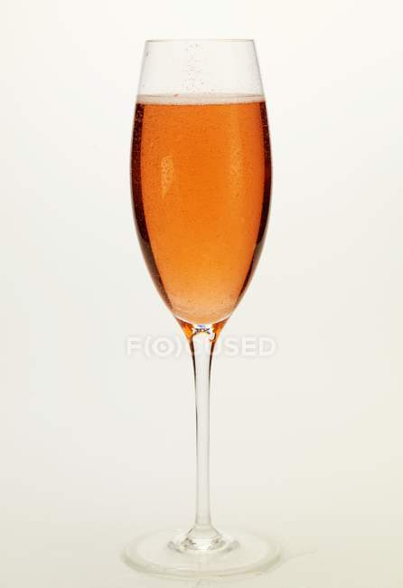Rosa champagne su sfondo bianco — Foto stock