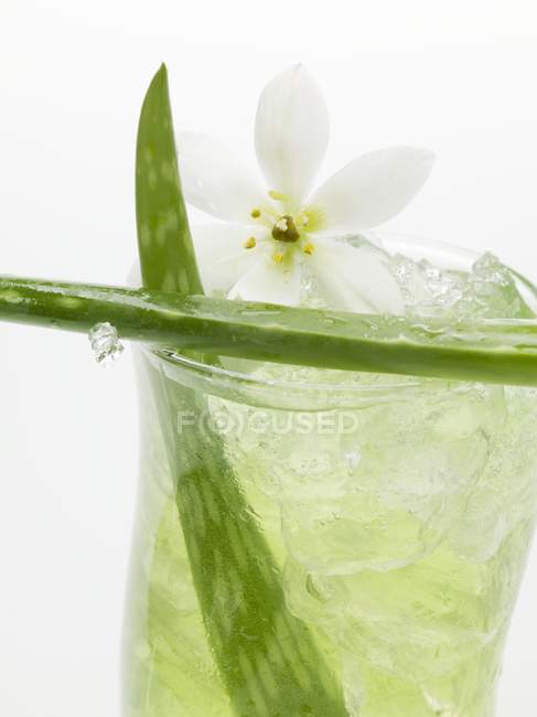 Aloe vera juice — Stock Photo