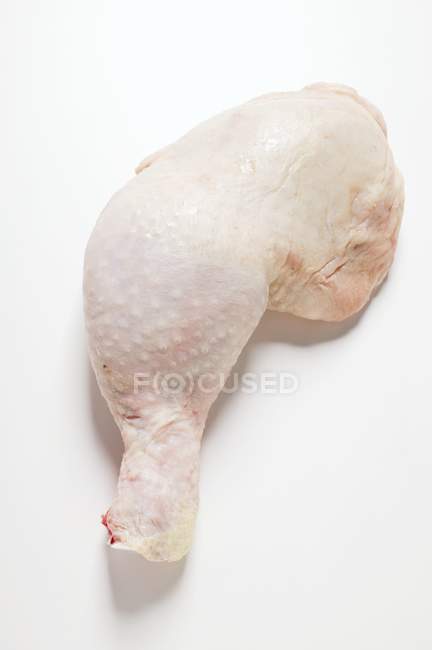 Fresh chicken leg — Stock Photo