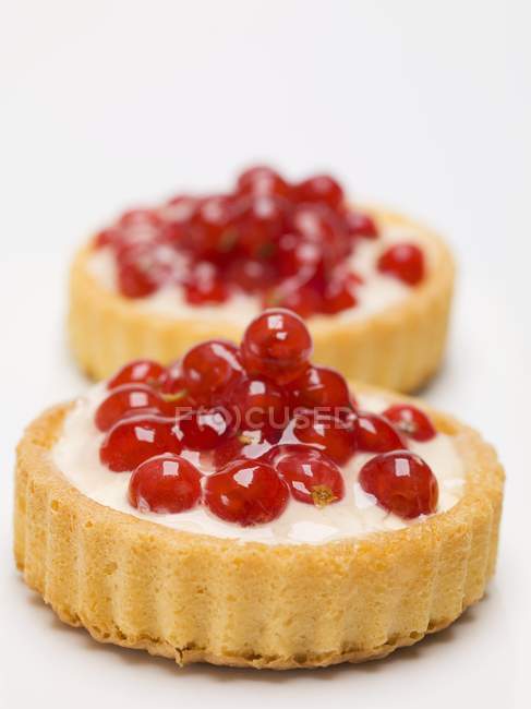 Redcurrant flans with custard filling — Stock Photo