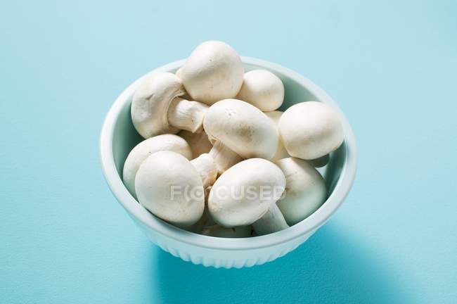 Cogumelos de botão frescos em tigela — Fotografia de Stock