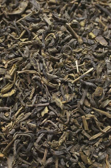 Primer plano de hojas de té - foto de stock