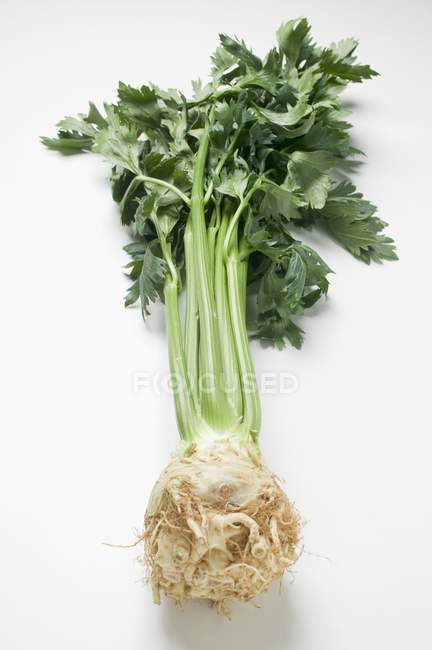 A celeriac root  over white surface — Stock Photo