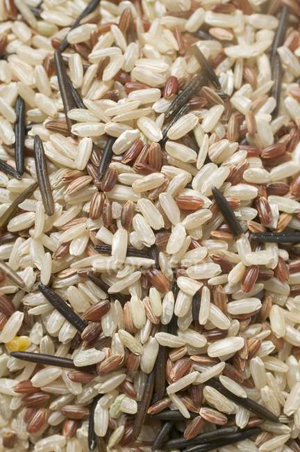 Mistura de arroz selvagem — Fotografia de Stock