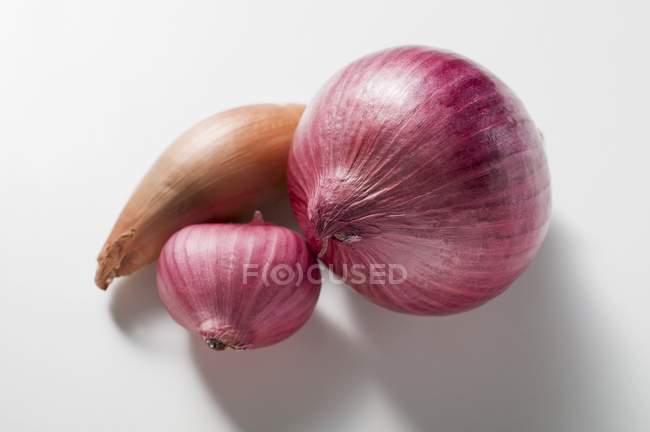 Red onions and shallot — Stock Photo