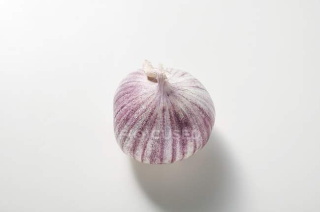Asian garlic bulb — Stock Photo