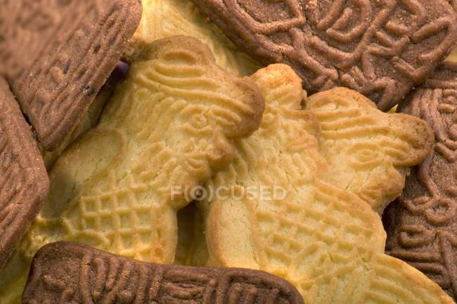 Vanilla and chocolate biscuits — Stock Photo