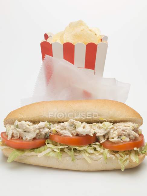 Thunfisch-Tomaten-Sandwich — Stockfoto