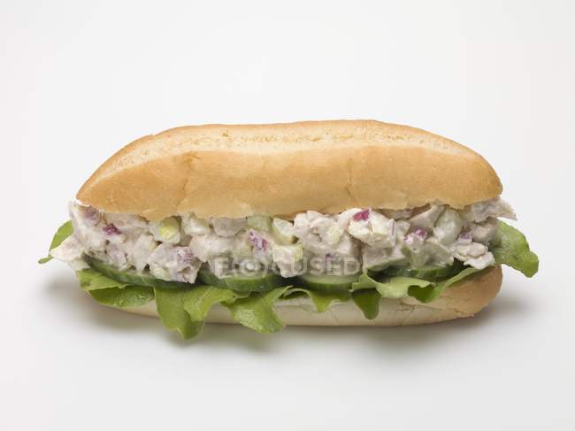 Sandwich de ensalada de pollo - foto de stock
