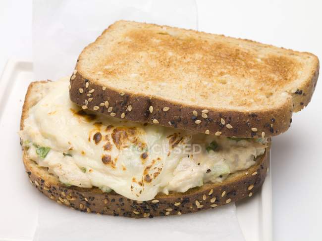 Бутерброд з тунцем та сиром — стокове фото