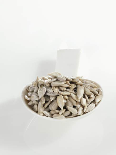 Colherada de sementes de girassol — Fotografia de Stock