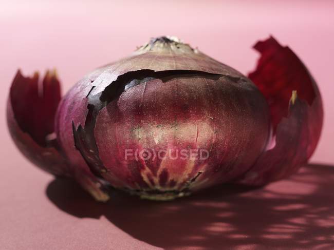Червона цибуля на рожевому фоні — стокове фото