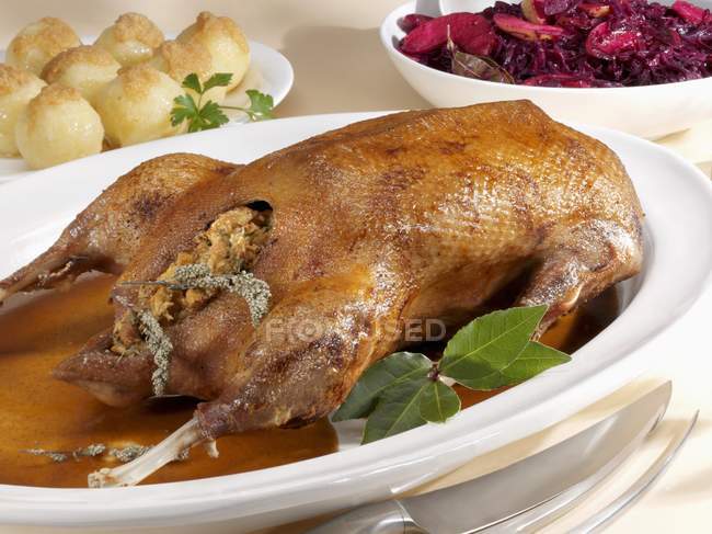 F Roast goose with red cabbage — Stock Photo