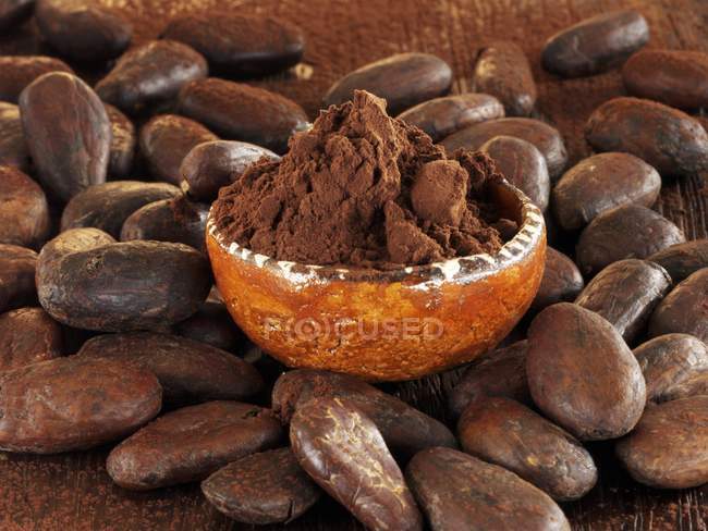 Granos de cacao y polvo - foto de stock