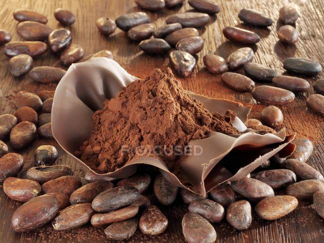 Cacao en polvo en cáscara de chocolate - foto de stock