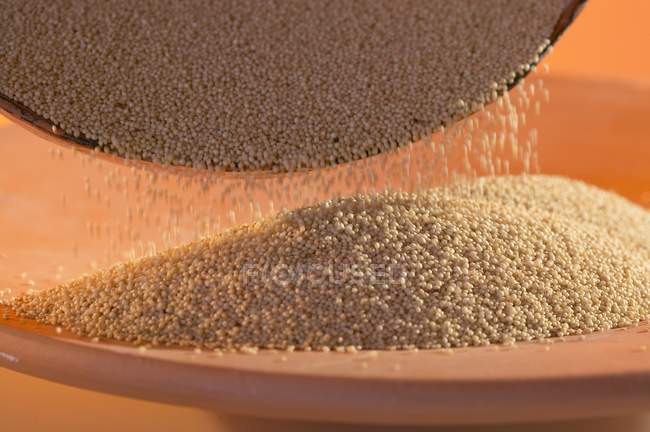Pouring amaranth out of a dish — Stock Photo