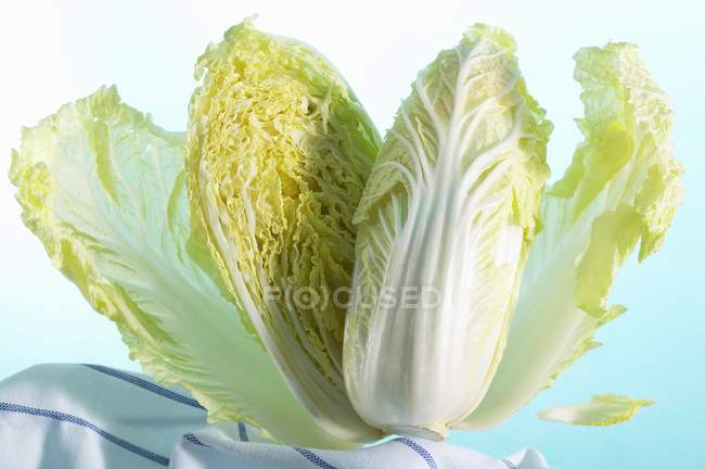 Fresh halved Chinese cabbage — Stock Photo