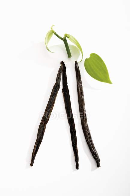 Gousses de vanille avec feuilles — Photo de stock