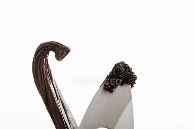 Vanilla pod and knife — Stock Photo