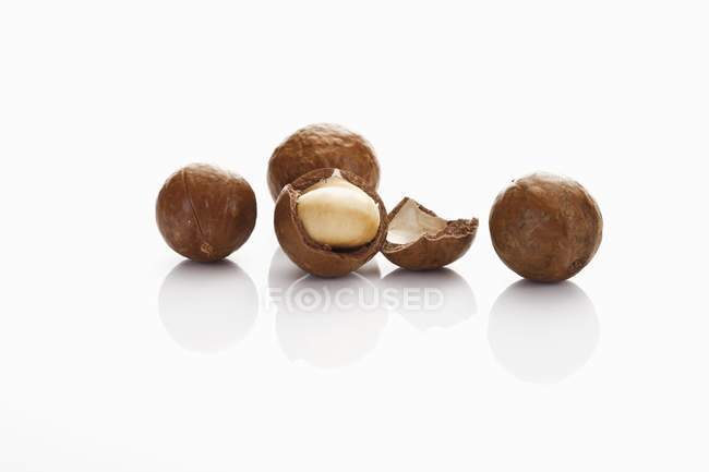 Macadamia nuts with and without shells — Stock Photo