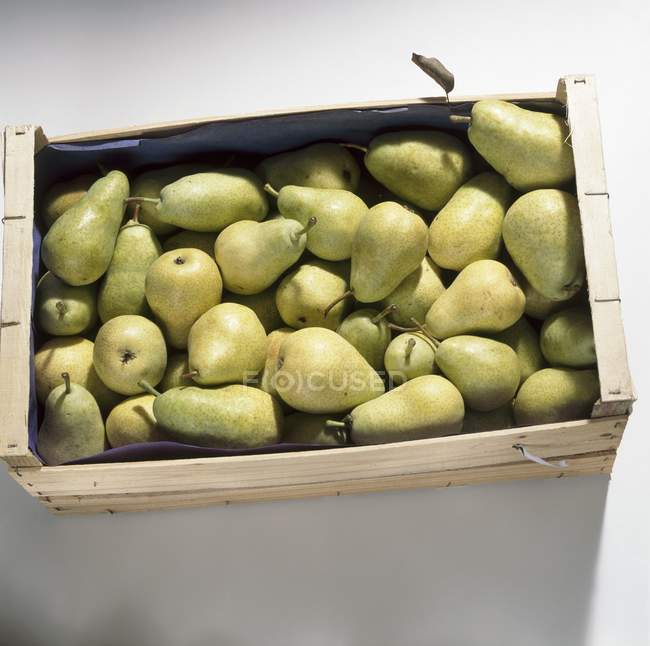 Kiste mit frisch gepflückten Birnen — Stockfoto