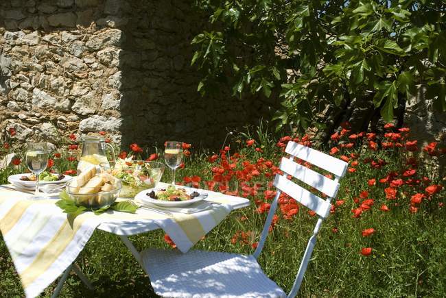 Vista diurna della tavola apparecchiata nel giardino estivo — Foto stock