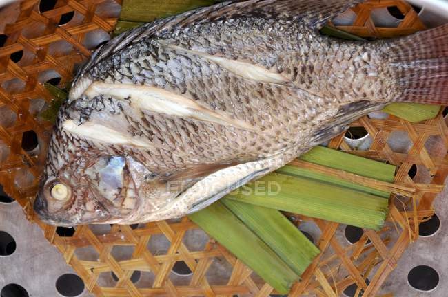 Steamed whole tilapia fish — Stock Photo