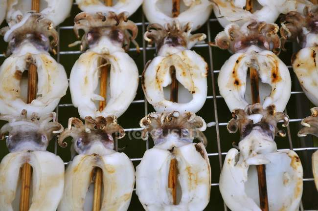 Squid skewers on barbecue — Stock Photo