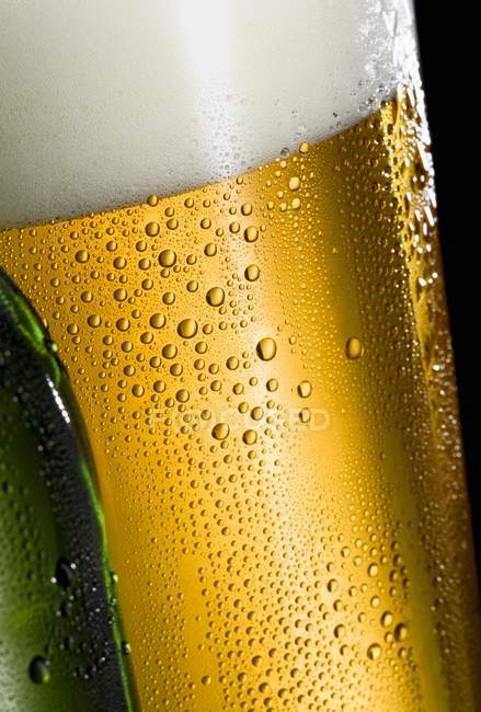 Glass of lager with condensation — Stock Photo