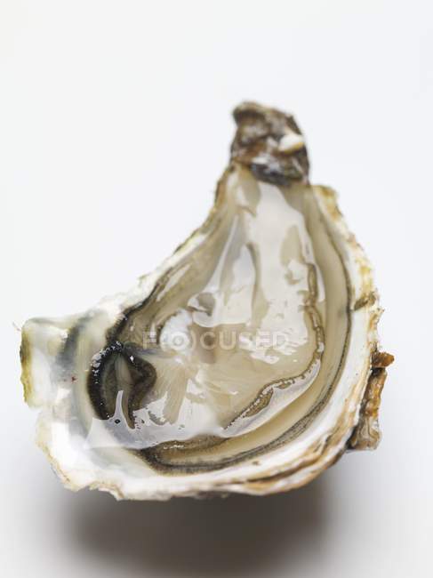 Frisch geöffnete halbe Auster — Stockfoto