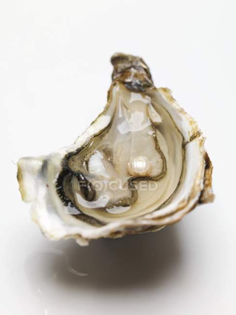 Fresh opened oyster with pearl — Stock Photo