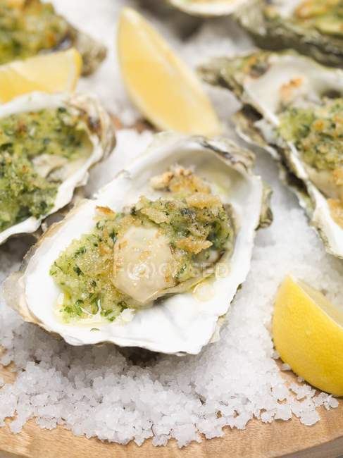 Oysters au gratin on ice — Stock Photo