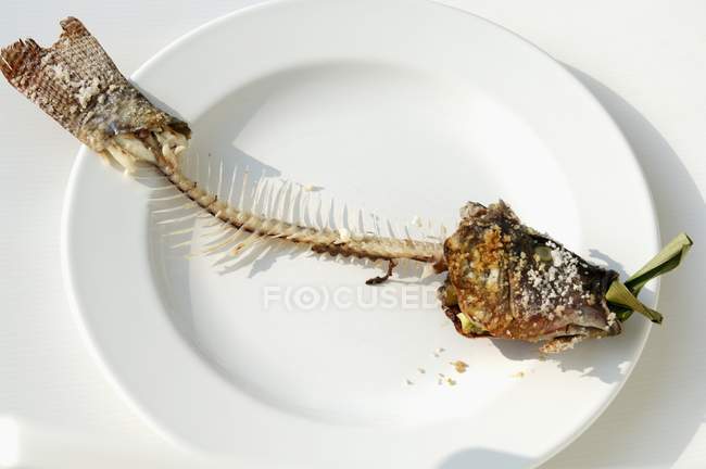 Vista de cerca de huesos de pescado de tilapia en un plato - foto de stock
