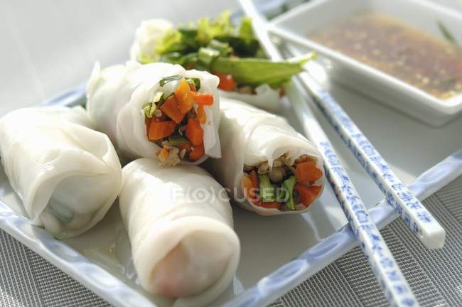 Rolos de mola vietnamitas — Fotografia de Stock