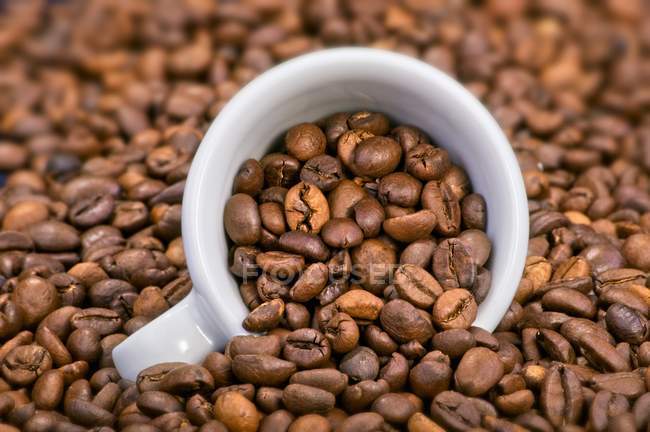 Granos de café con taza de café expreso - foto de stock