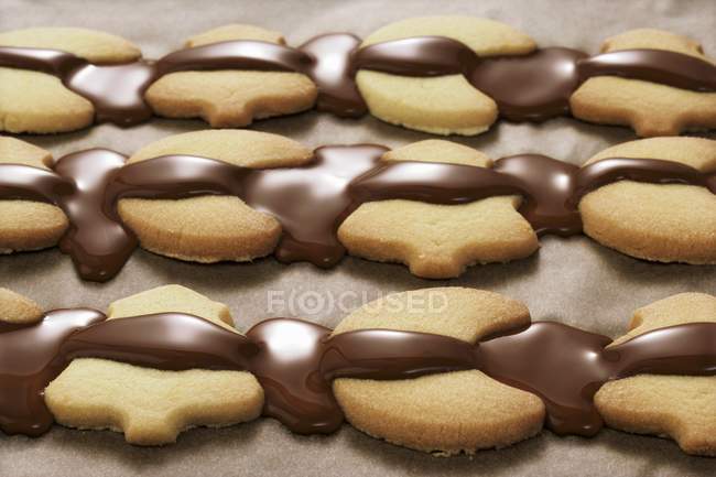 Christmas biscuits with chocolate icing — Stock Photo