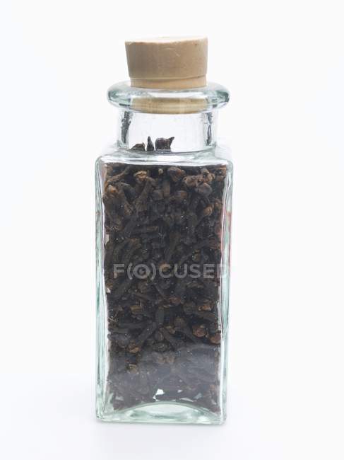 Гвоздики в маленькой бутылке — стоковое фото