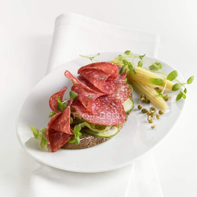 Salami au poivre et salade — Photo de stock